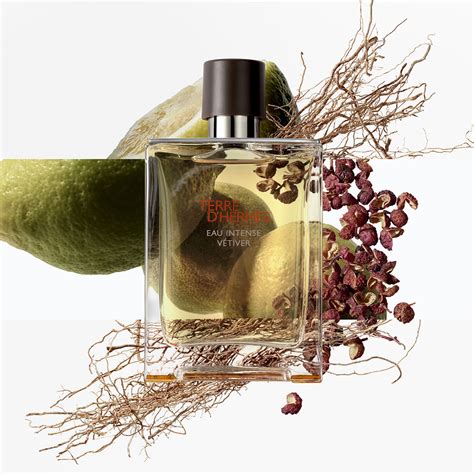 terre d'hermes parfum 100 ml|terre d hermes perfume price.